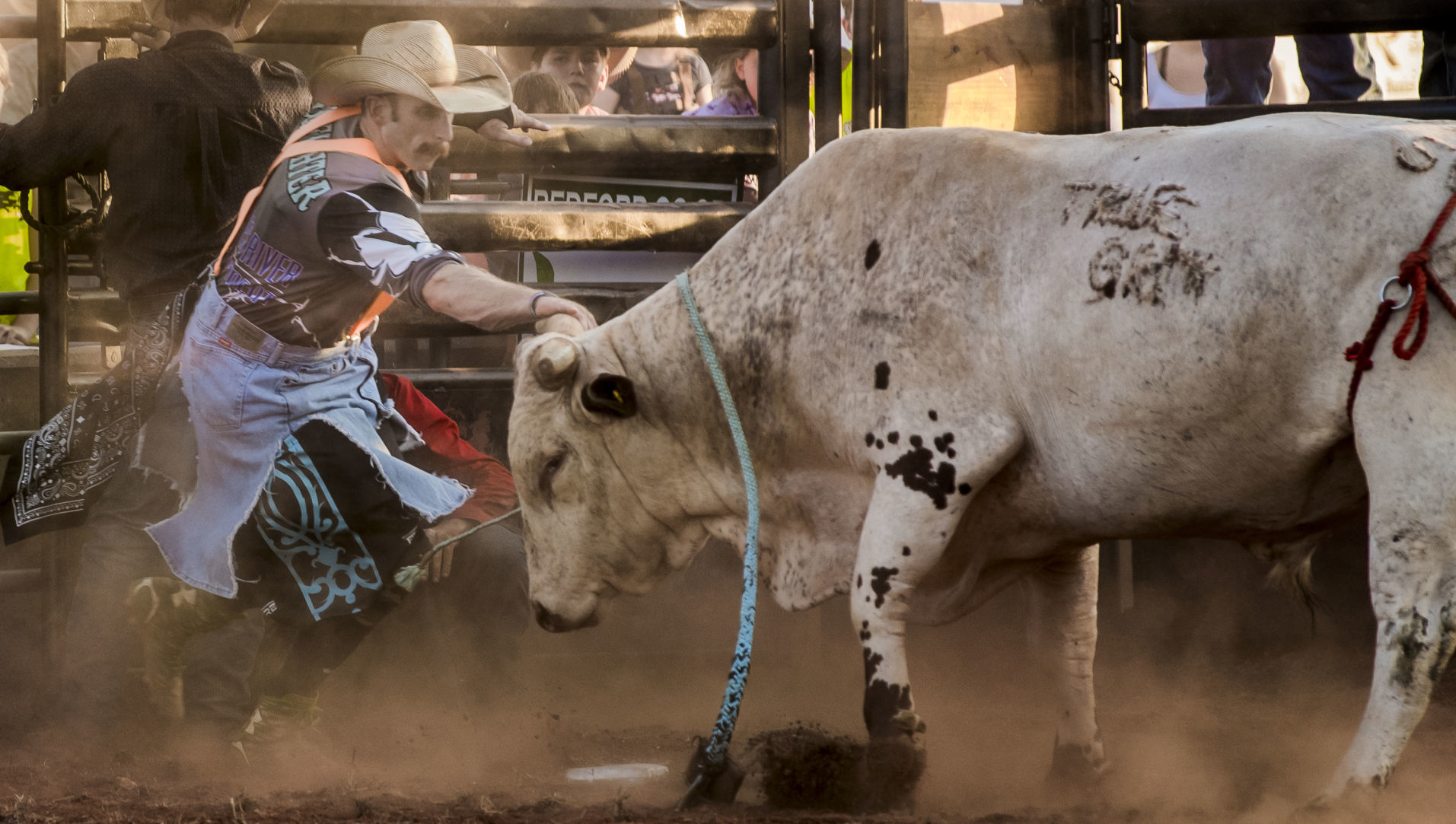 Rodeo 2